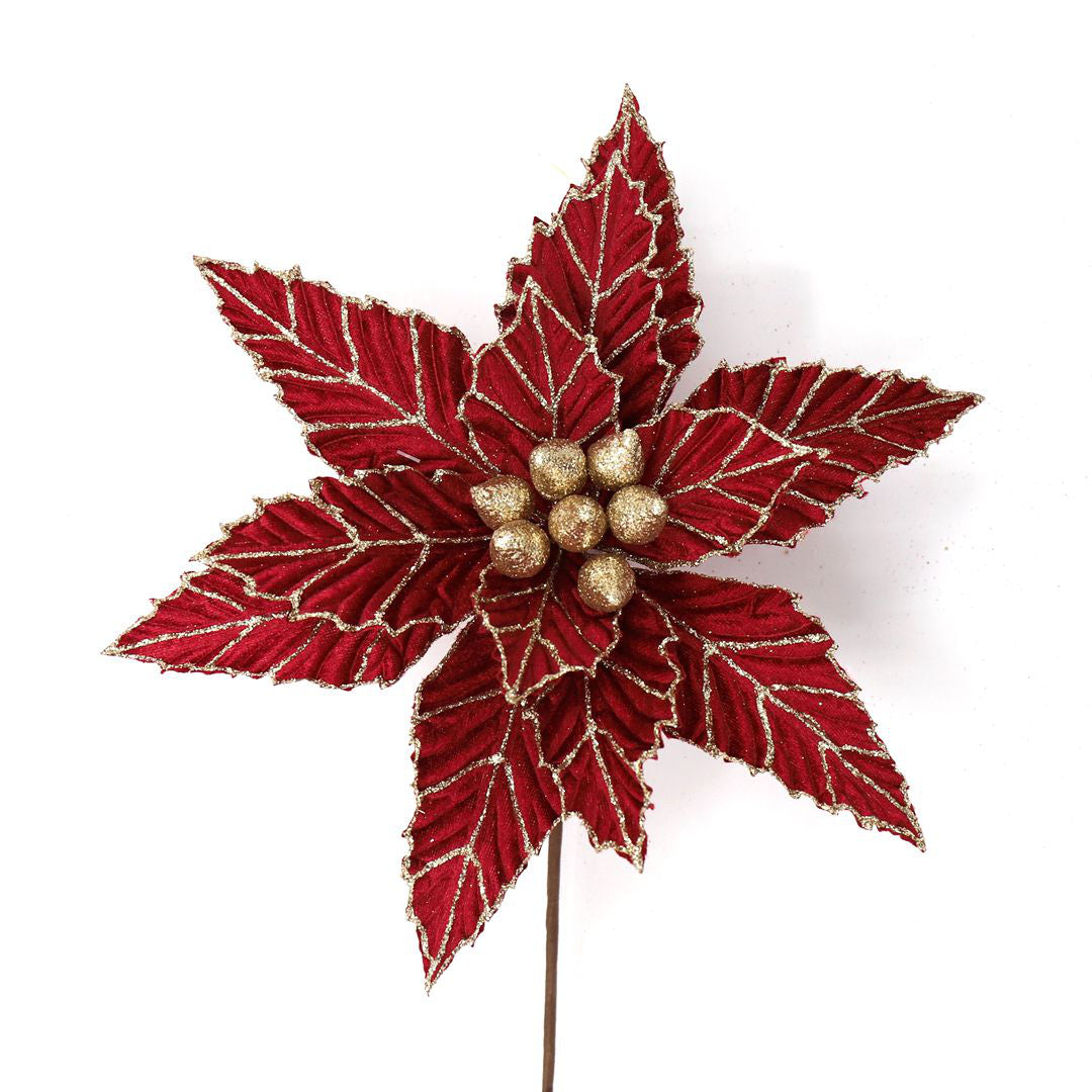 RED GOLD POINSETTIA