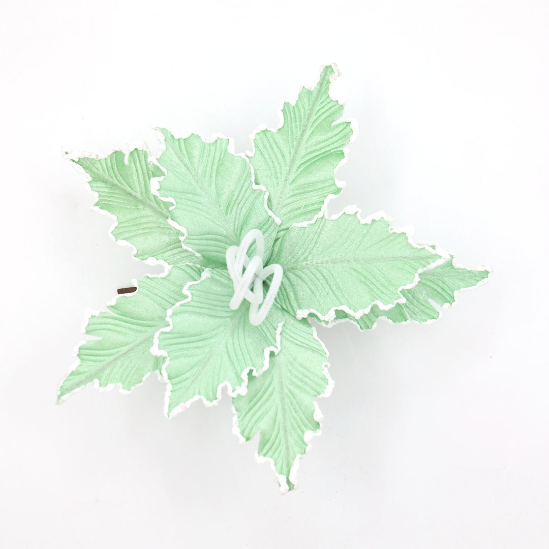 MINT GREEN POINSETTIA
