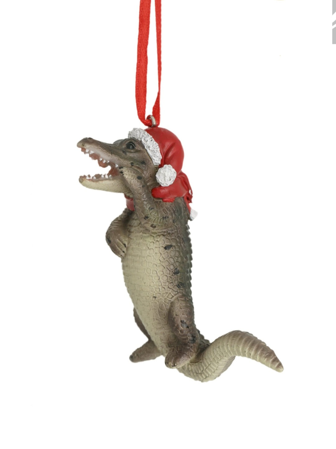 CROCODILE HANGING