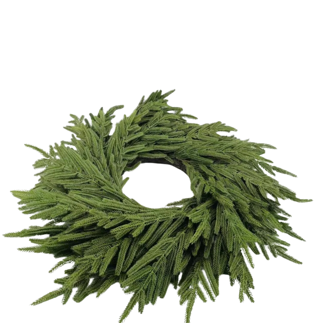 NORFOLK PINE WREATH
