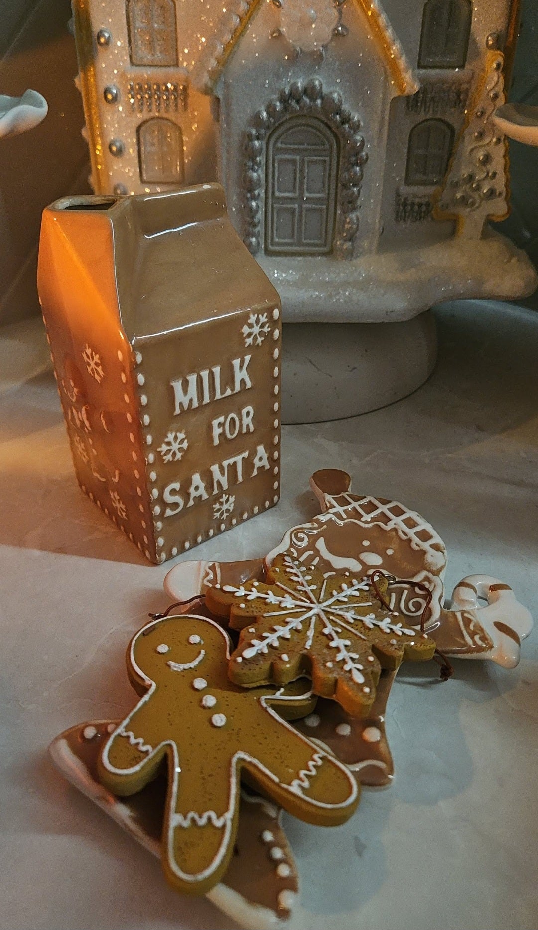 SANTA MILK COOKIES SET