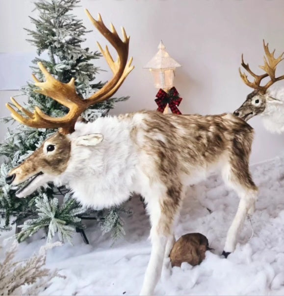 ANIMATED LIFESIZE ANIMALS