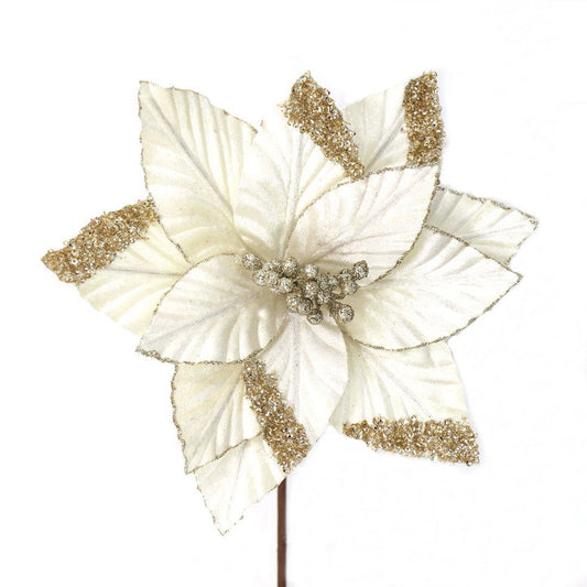 IVORY GOLD POINSETTIA