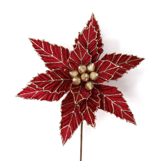 RED GOLD POINSETTIA