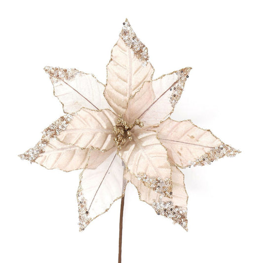 CHAMPAGNE GLITTER POINSETTIA