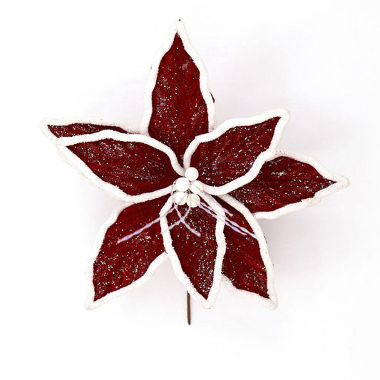 RED WHITE TRIM POINSETTIA