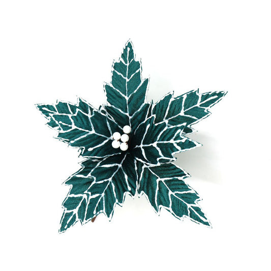 GREEN WHITE POINSETTIA