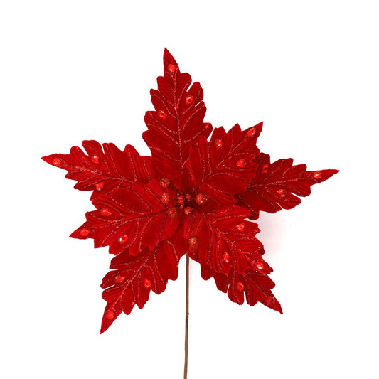 RED JEWELLED POINSETTIA