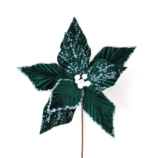 EMERALD GREEN POINSETTIA