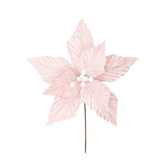 PRE ORDER PASTEL PINK POINSETTIA