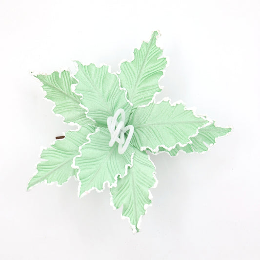MINT GREEN POINSETTIA