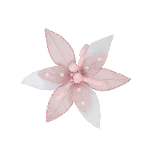 WHITE PINK POINSETTIA