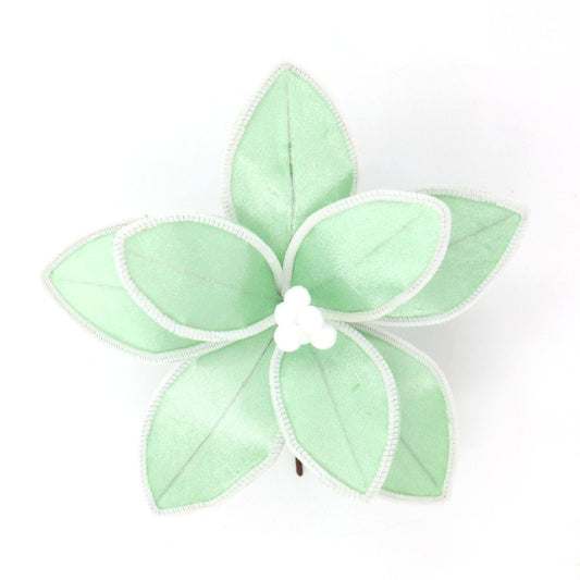 MINT GREEN WHITE TRIM POINSETTIA