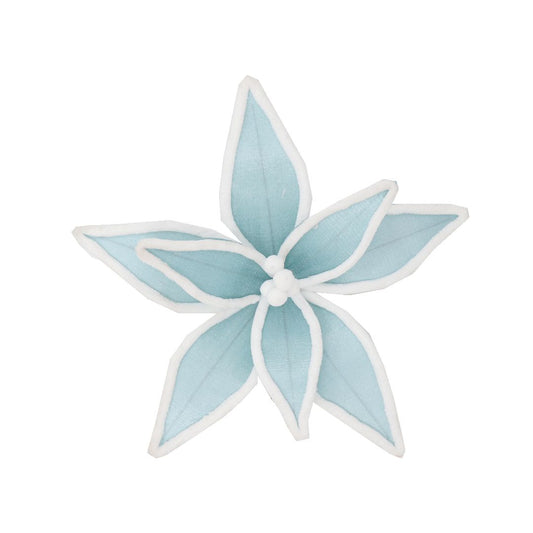 BLUE WHITE TRIM POINSETTIA