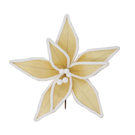 YELLOW WHITE TRIM POINSETTIA