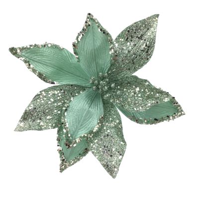 GREEN POINSETTIA