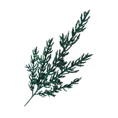 EMERALD GREEN LEAF SPRAY