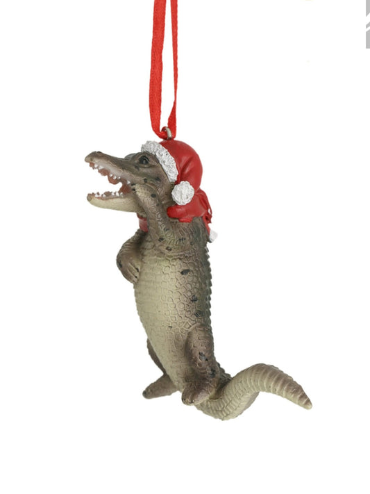 CROCODILE HANGING