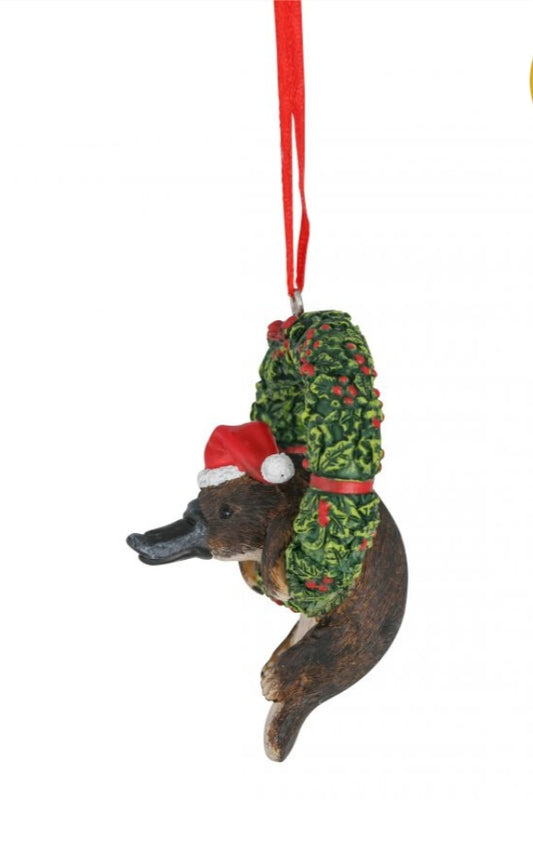 PLATYPUS HANGING