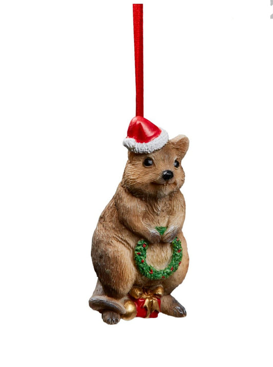QUOKKA HANGING
