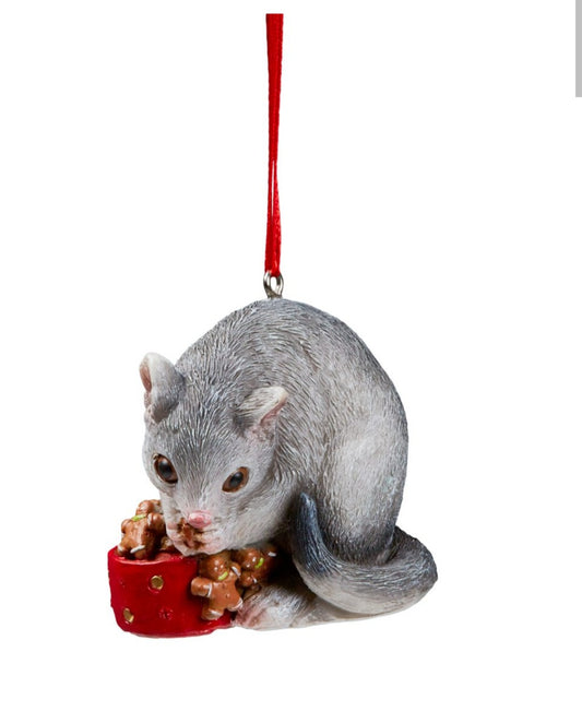 POSSUM HANGING