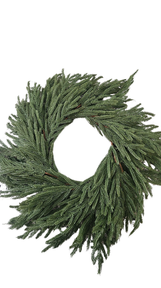NORFOLK PINE WREATH