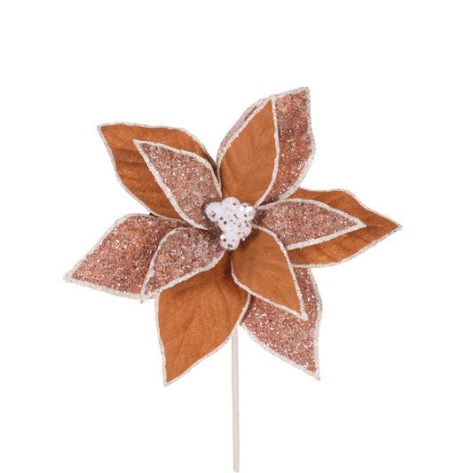 PRE ORDER GINGERBREAD POINSETTIA