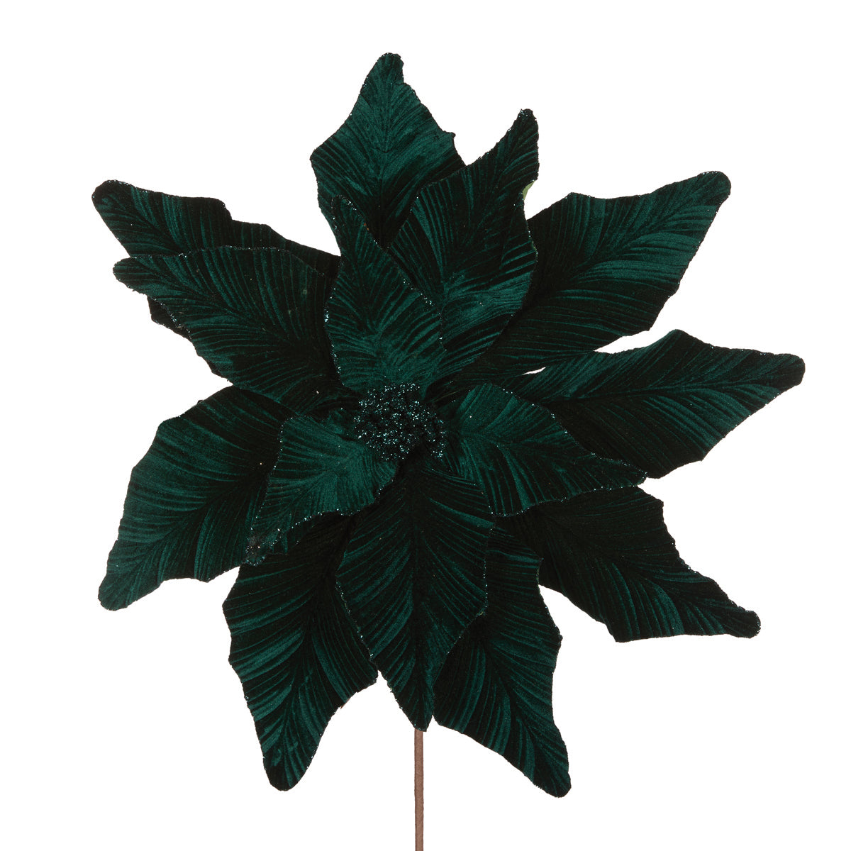 PRE ORDER LUXE EMERALD POINSETTIA
