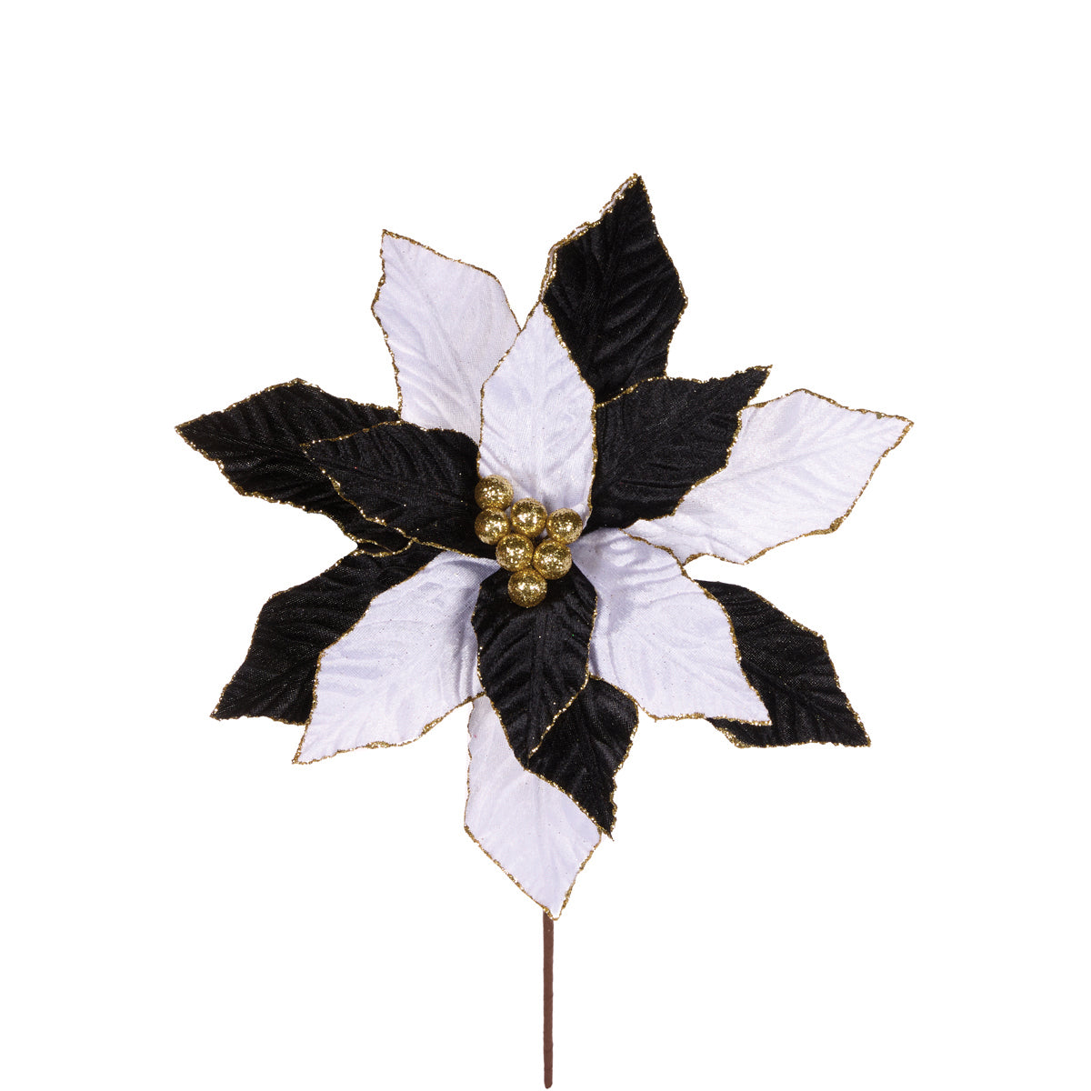 PRE ORDER BLACK & WHITE POINSETTIA