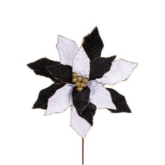 PRE ORDER BLACK & WHITE POINSETTIA