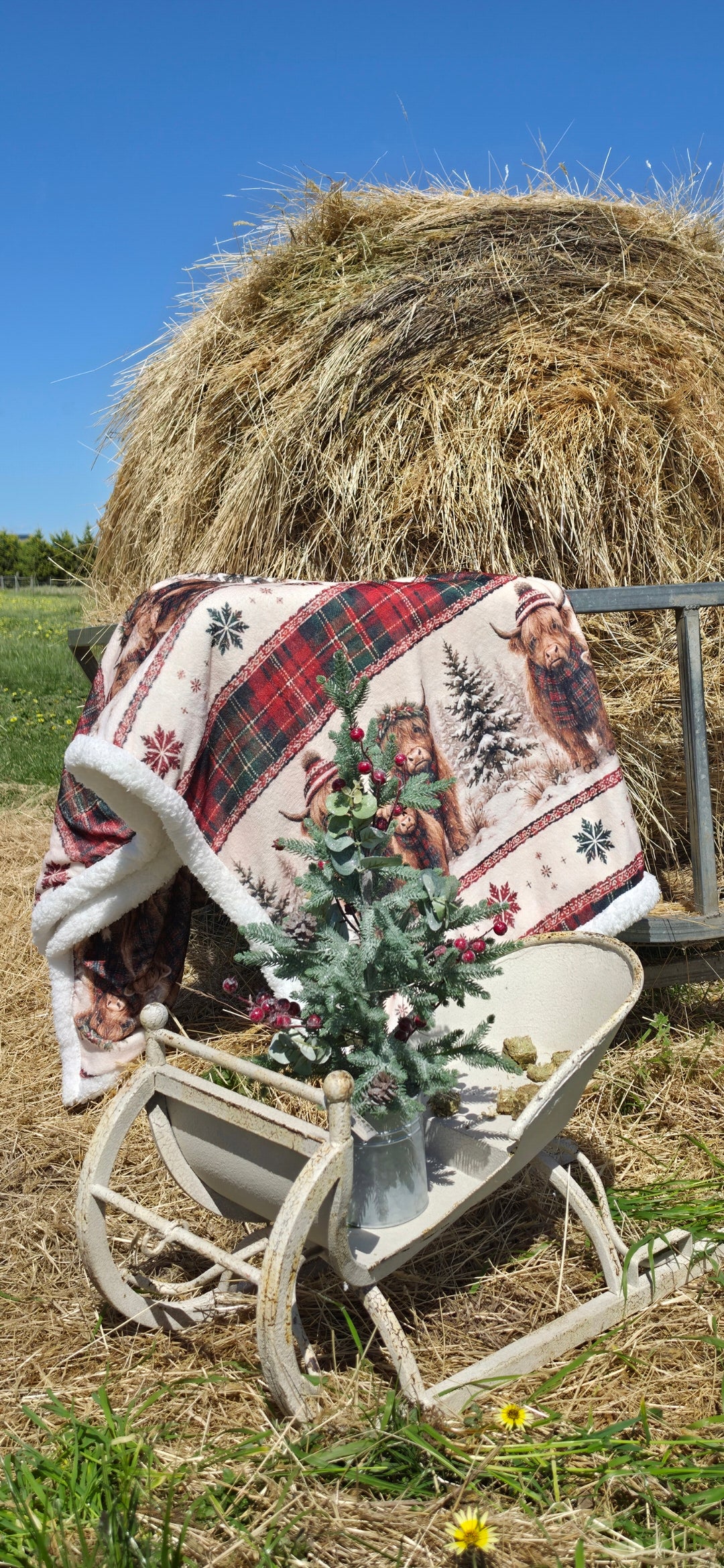 PRE ORDER HIGHLAND COW TARTAN SHERPA BLANKET